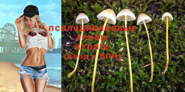 эйфоретик Армянск