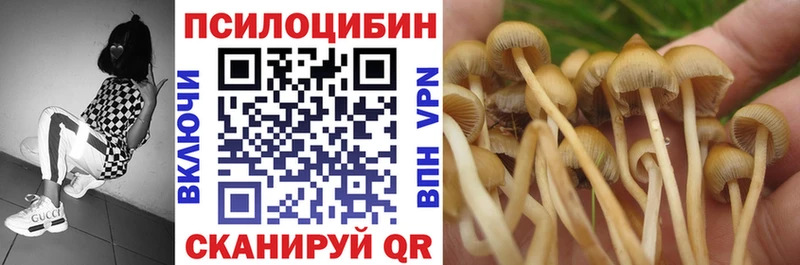 Галлюциногенные грибы Magic Shrooms  Купить  Беслан 